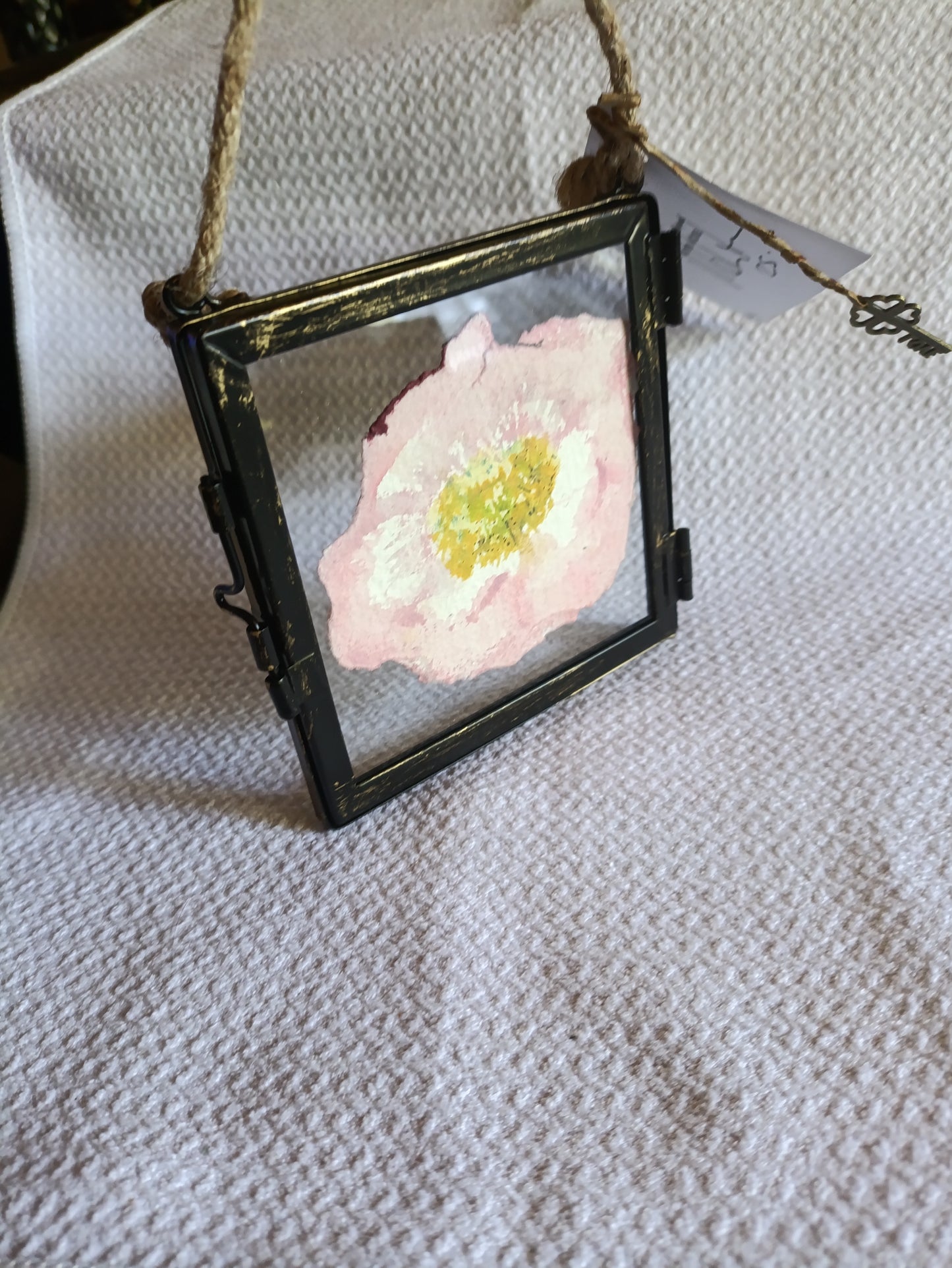 Beautiful Wild Rose Hanging Frame