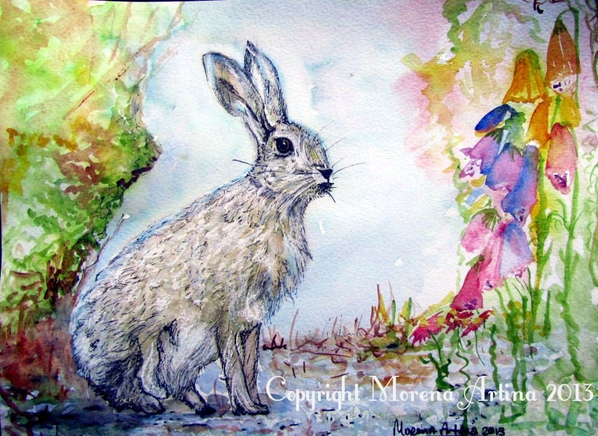 Hiding Hare — Print