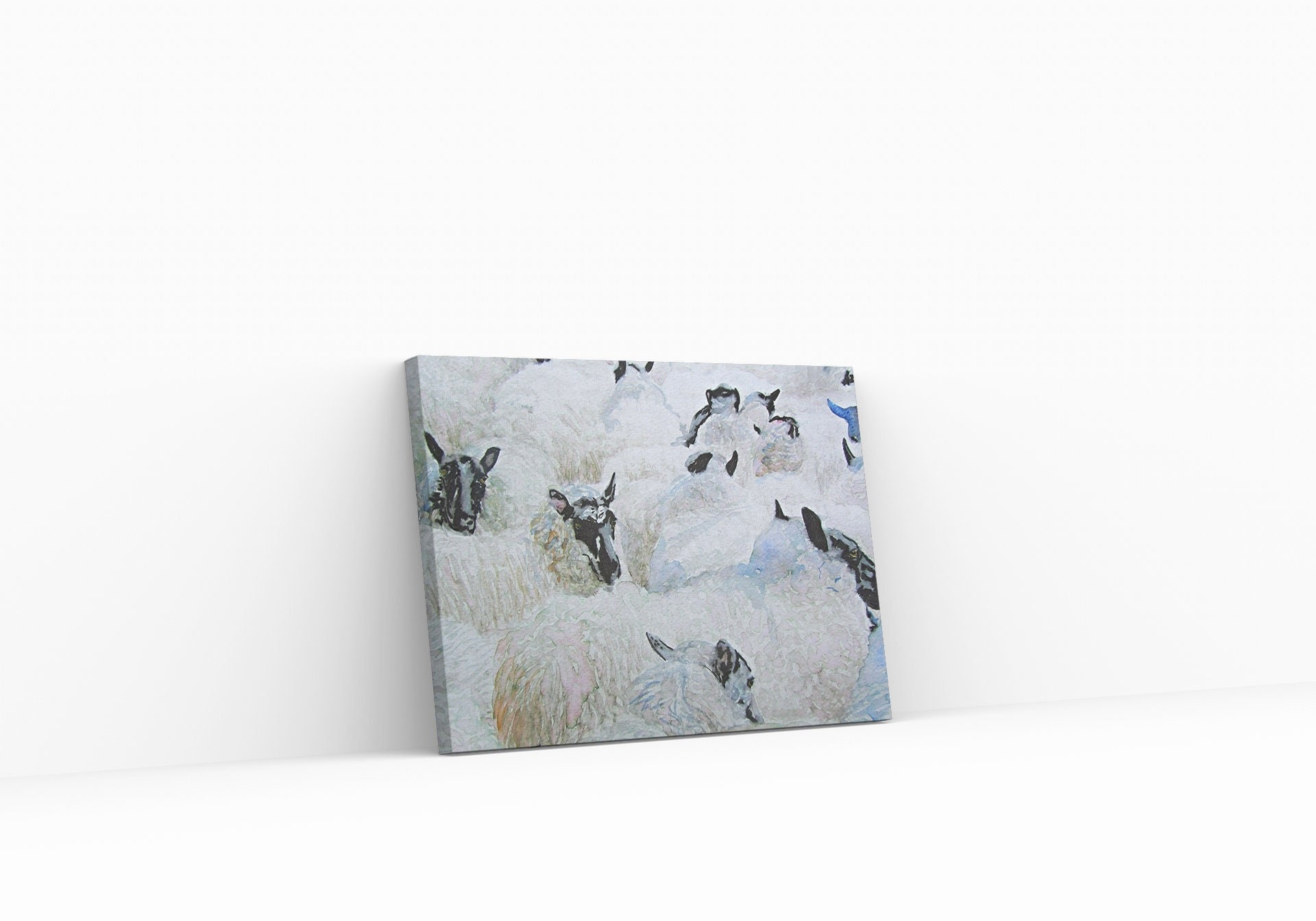 Black Faced Sheep — Print