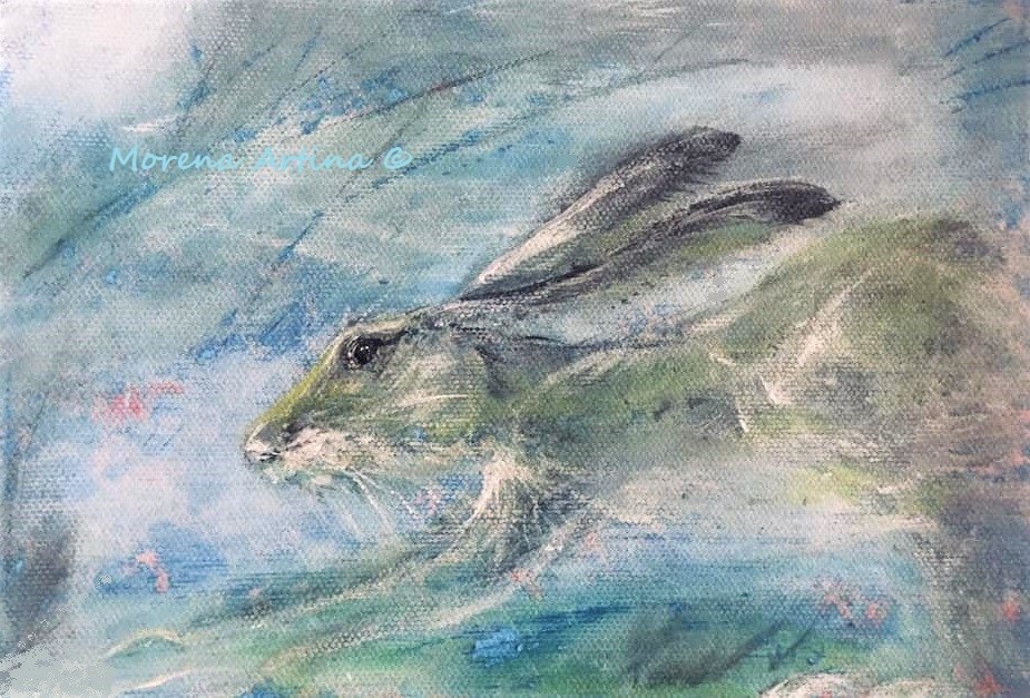 Misty Hare — Print