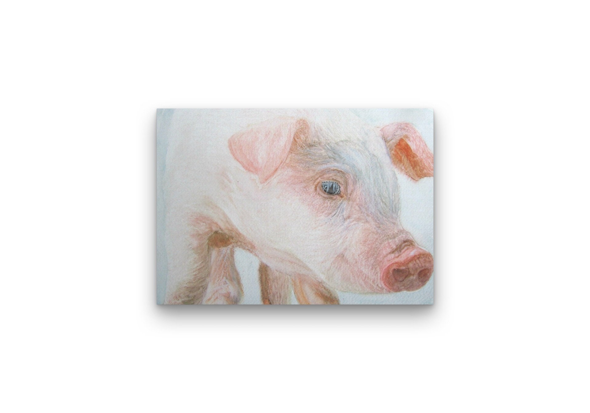 Patsy Pig — Print