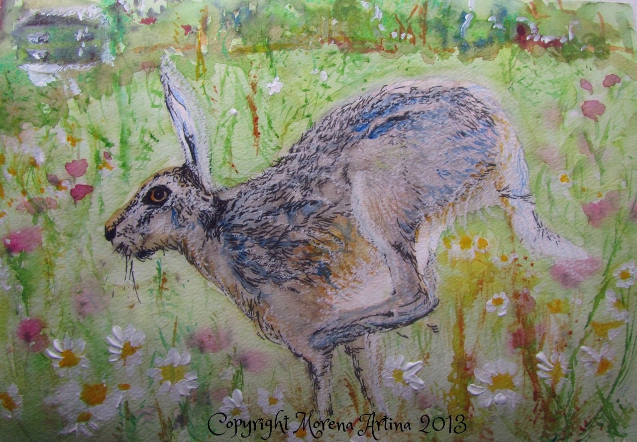 Hare with Poppies and Daisies — Print