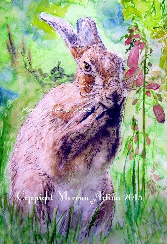 Washing Hare — Print