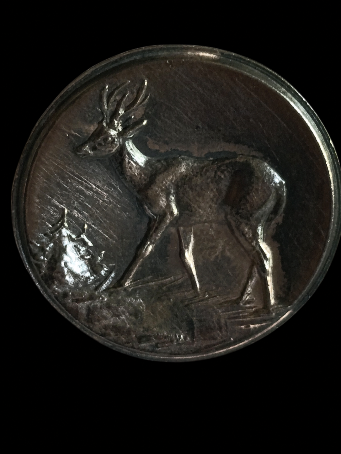Set of Six 900 Silver Wildlife Buttons — view 9