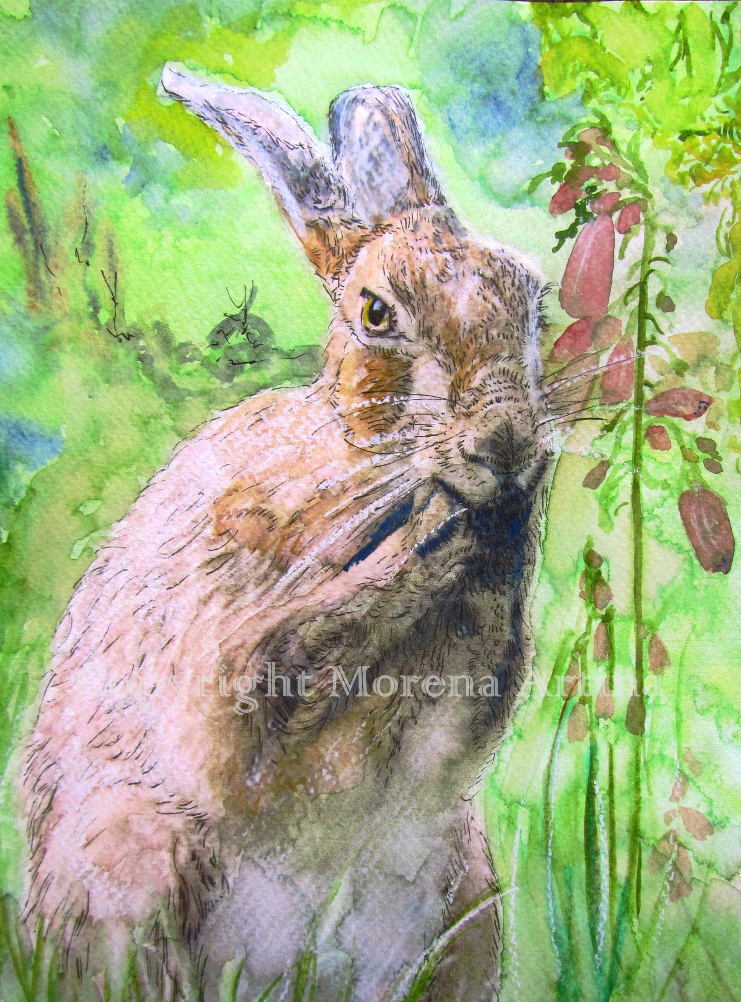 "Foxglove Hare Washing" Print - Canvas / Print / Poster various sizes, from original painting