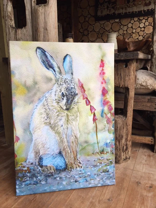 "Shy Hare" Print - Canvas / Print / Poster various sizes, from original painting