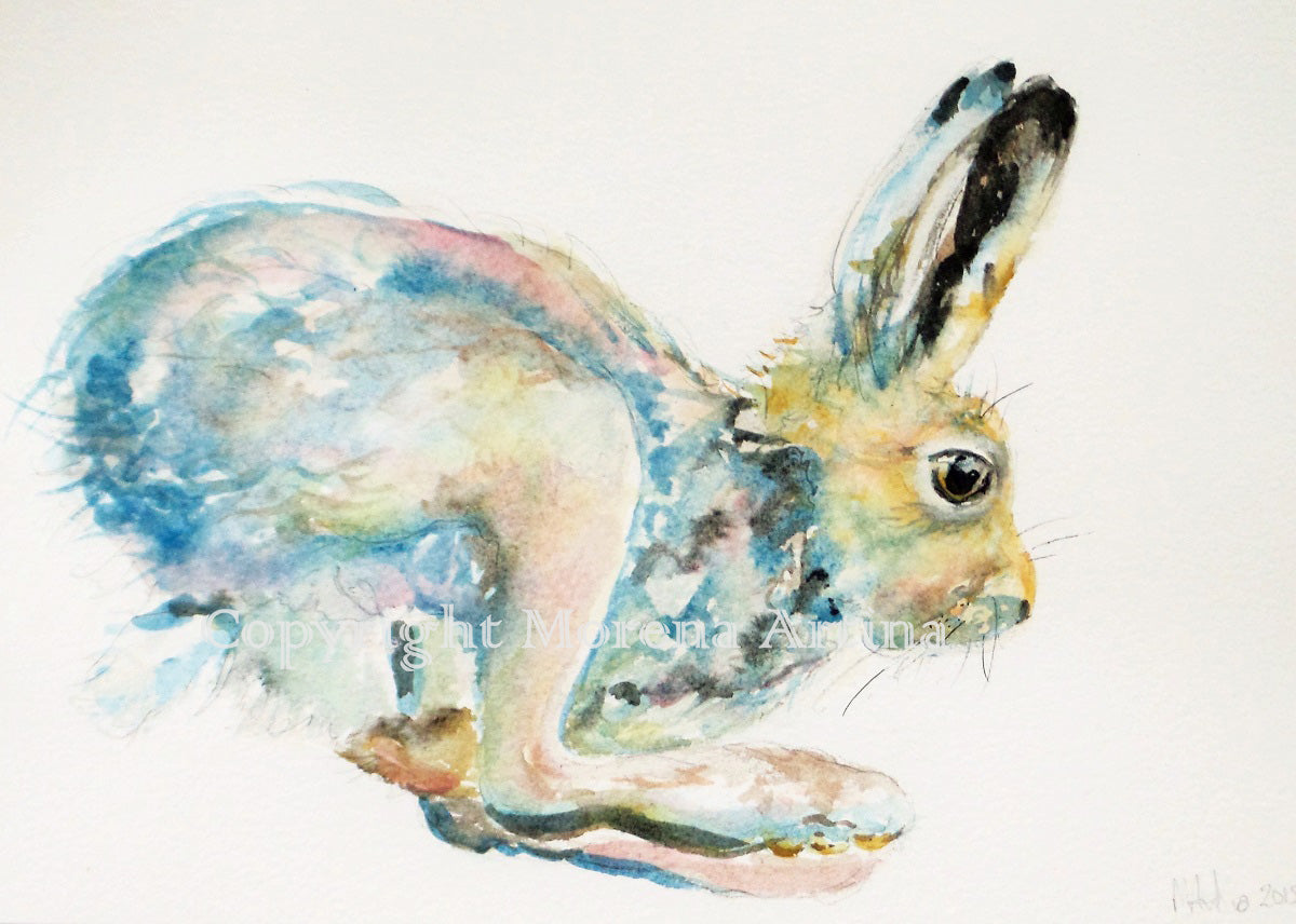 "Jumping Hare" Print - Canvas / Print / Poster various sizes, from original painting