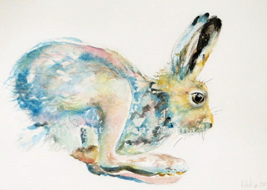 "Jumping Hare" Print - Canvas / Print / Poster various sizes, from original painting
