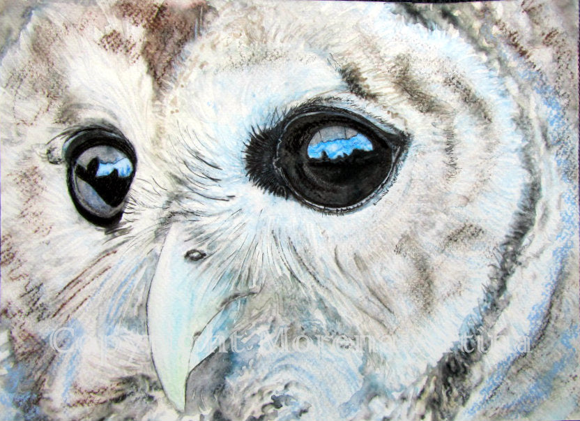 "Close up Owl" Print - Canvas / Print / Poster various sizes, from original painting