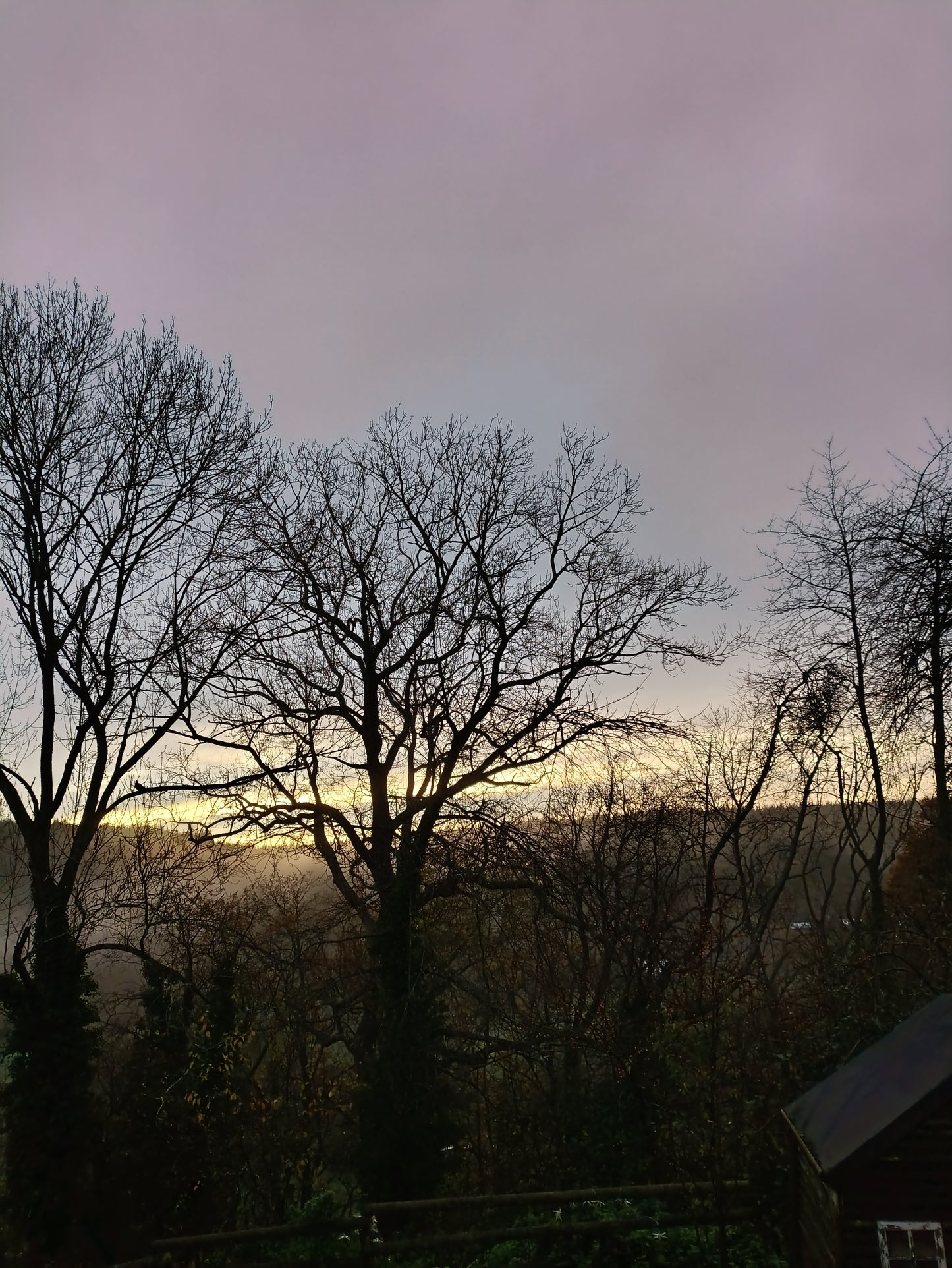 Six for Gold original painting