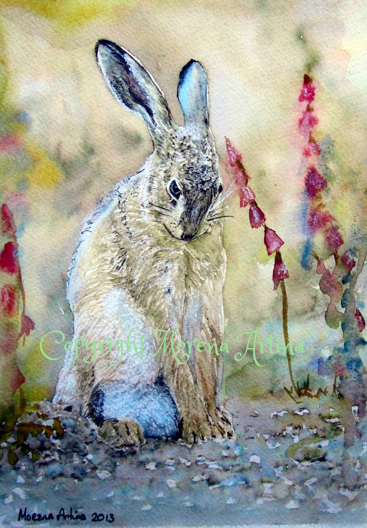 "Shy Hare" Print - Canvas / Print / Poster various sizes, from original painting