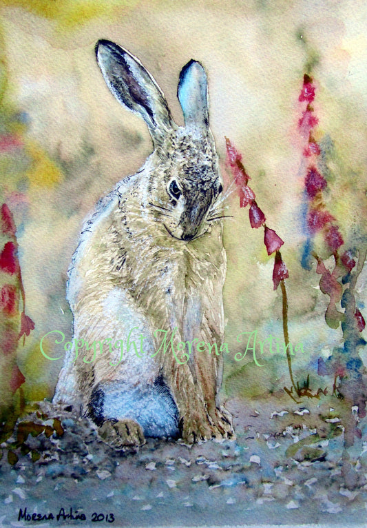 "Shy Hare" Print - Canvas / Print / Poster various sizes, from original painting