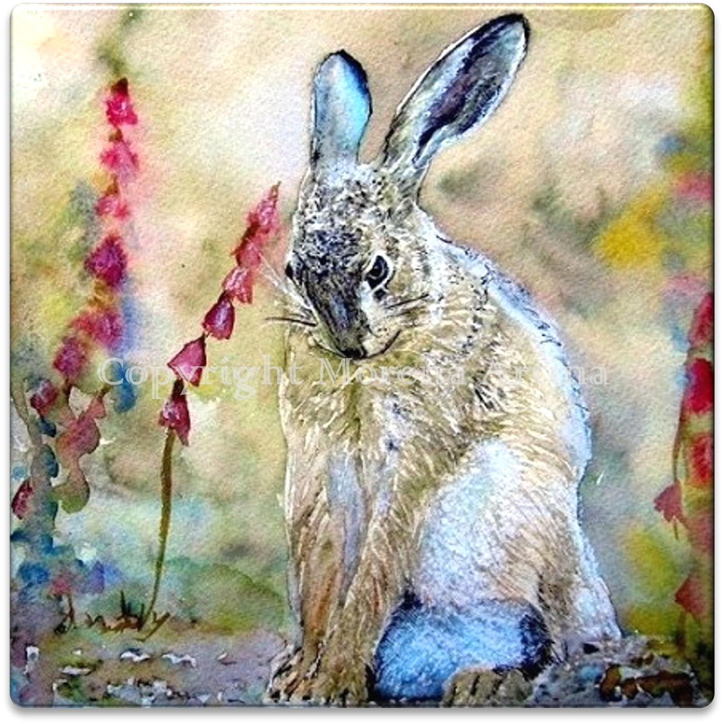 Shy Hare Tile