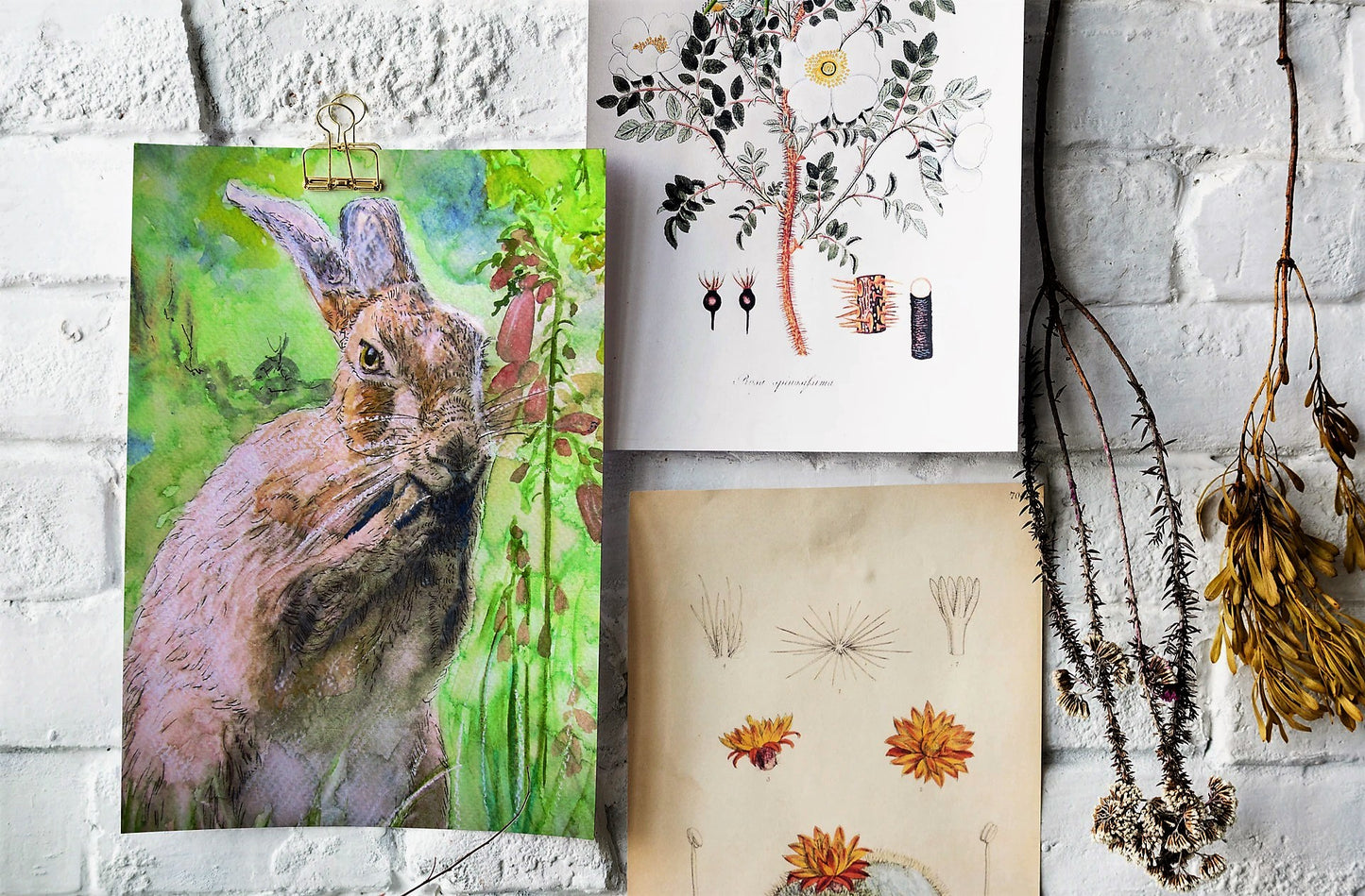 "Foxglove Hare Washing" Print - Canvas / Print / Poster various sizes, from original painting